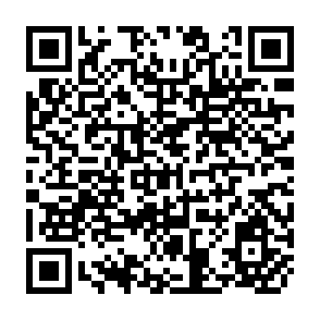 QR Code for The Farm and the City