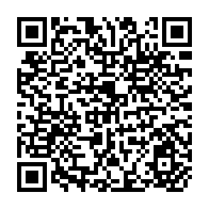 QR Code for Agricultural Cooperative Credit in South-East Asia