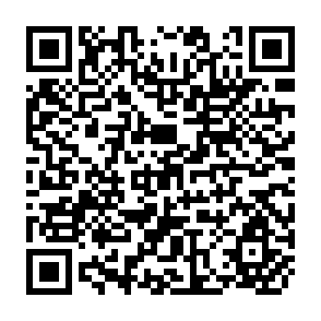 QR Code for Report of Post Harvest Losses Consultative Meeting Volume I