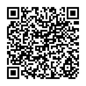 QR Code for Are Money Balances an Inferior Asset? Rational Expectations and the Household Demand for Money