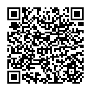 QR Code for Local Public Enterprises in Developing Countries: Issues and Practices