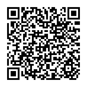QR Code for Is Agricultural Loan Delinquency Inevitable?