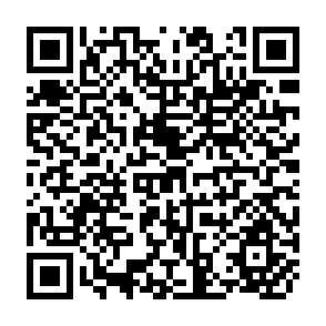 QR Code for A Theory of Ancillary Firm Development