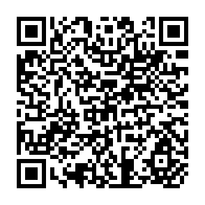 QR Code for Group choice with Lexicographic Preferences