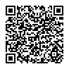 QR Code for Lenin's Theory of Imperialism