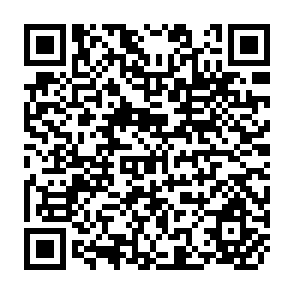 QR Code for Interrelated Products And The Elasticity Of Export Supply In Developing Countries