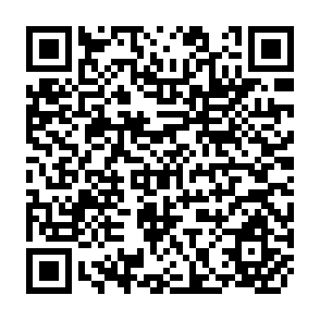 QR Code for The Electricity- Based Measure of Capital Utilization in Philippine Manufacturing Industries: Estimation and Analysis