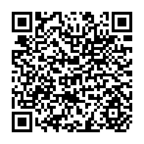 QR Code for Foreign Students in the United States of America