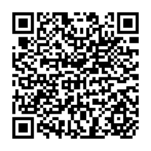 QR Code for Shifting Cultivation in Latin America