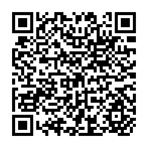 QR Code for Shifting Cultivation in Latin America