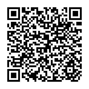 QR Code for Manual on Food And Nutrition Policy