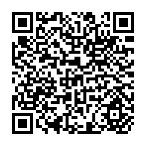 QR Code for Manual on Food And Nutrition Policy