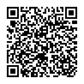 QR Code for FAO in 1981