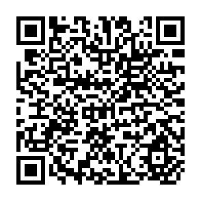 QR Code for The Social & Political Thought of Karl Marx