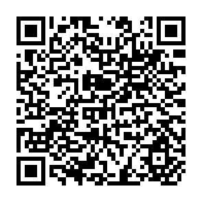 QR Code for Joint FAO/WHO Expert Committee On Nutrition