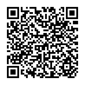 QR Code for Joint FAO/WHO Expert Committee On Nutrition