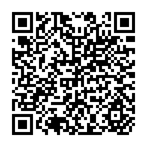 QR Code for The Demand for Food, and Conditions Governing Food Aid During Development