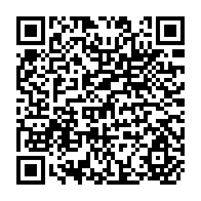 QR Code for Yield And Net Return Distributions In Common Village Cropping Systems In The Semi-Arid Tropics Of India