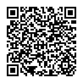 QR Code for Risk and the Choice of Cropping Systems: Hybrid Sorghum amd Cotton in the Akala Region of Central Peninsular India