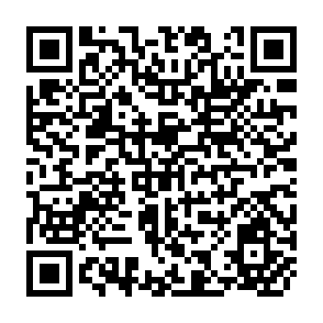 QR Code for Anthropology Culture, Society, and Evolution