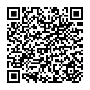 QR Code for Introduction to Anthropology