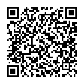QR Code for The Study of Cultural Anthropology