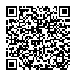 QR Code for The Study of Society