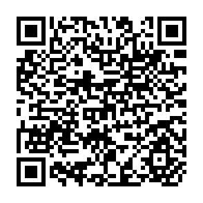QR Code for Agricultural Mechanization in Development: Guidelines for Strategy Formulation