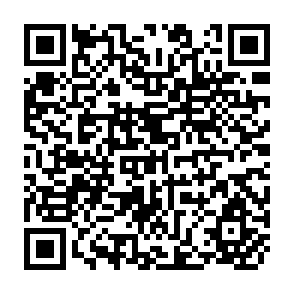 QR Code for Sustaining Rapid Growth in India's Fertilizer Consumption: A Perspective Based on Composition of Use