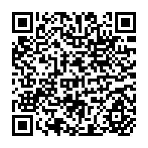 QR Code for Seed-Derived Callus Culture for Selecting Salt-Tolerant Rices - Part I