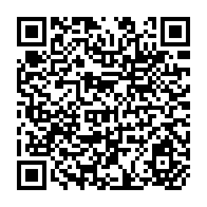 QR Code for The New Capitalist World Order: Implications for Development in North and South-East Asia