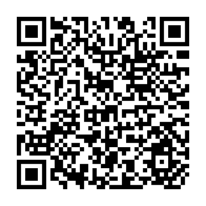 QR Code for Employment and Development in Nepal