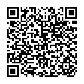 QR Code for Food for All in a Sustainable World
