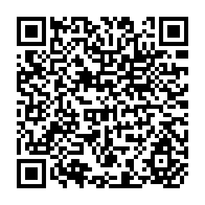 QR Code for The Economics of Macro Issues - Second Edition