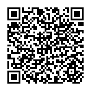 QR Code for The Farm and The City
