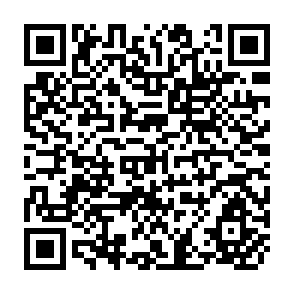 QR Code for Food Consumption Parameters for Brazil and Their Application to Food Policy