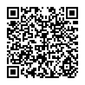 QR Code for Casual Modeling