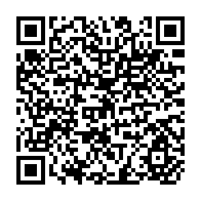 QR Code for A study of Farm Size and Economic Perferomance in Old Santa Rose, Rio Grande Do Sul