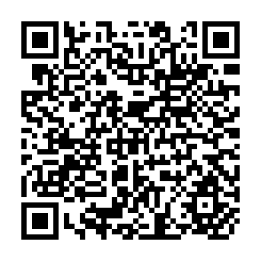 QR Code for Surveys of Applied Economics