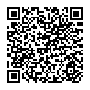 QR Code for International Cooperation and Partnership