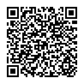 QR Code for Economic Evaluation of Mineral Processing Projects A Case Study of Copper Smelting in the Philippines