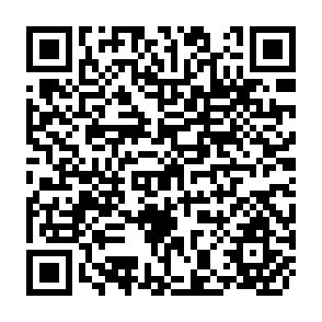 QR Code for Gaming Simulations of Irrigation Systems Prospects for Management Training