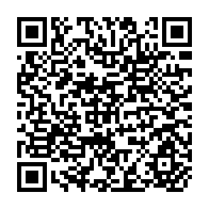 QR Code for Effects of Recent Changes in the Food Stamp program on Participation and Food Consumption of Participating Householdsn in Tompkins Country , New York