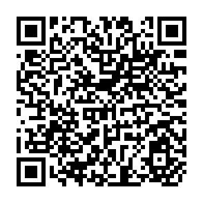 QR Code for Egypt's Food Subsidy and Rationing System: A description