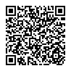 QR Code for Law in Alternative Strategies of Rural Development