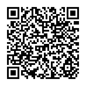 QR Code for A Preliminary Analysis of the Nicaraguan Food System