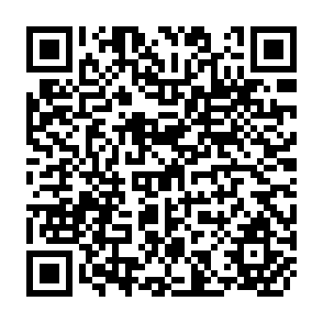 QR Code for Absorption and Diffusion of Imported Technology