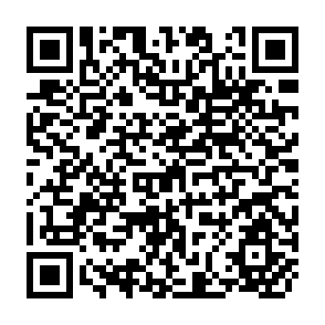 QR Code for Alternatives in agricultural development