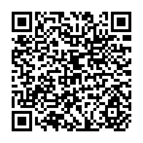 QR Code for The Dynamics of Agricultural Change