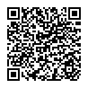 QR Code for Agricultural Development in the Mexican Tropics: Alternatives for the Selva Lacandona Region of Chiapas